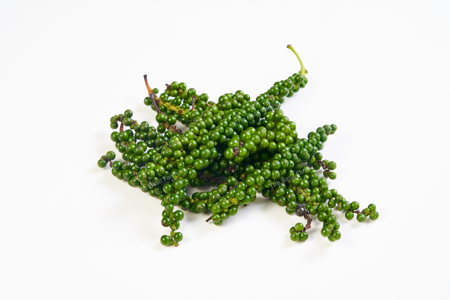 Green Peppercorn
