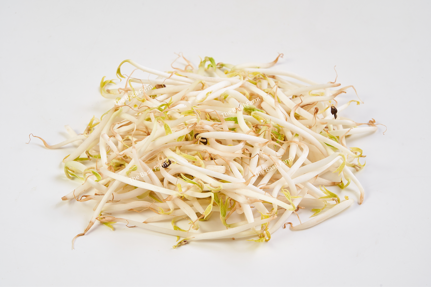 Thai Bean Sprouts