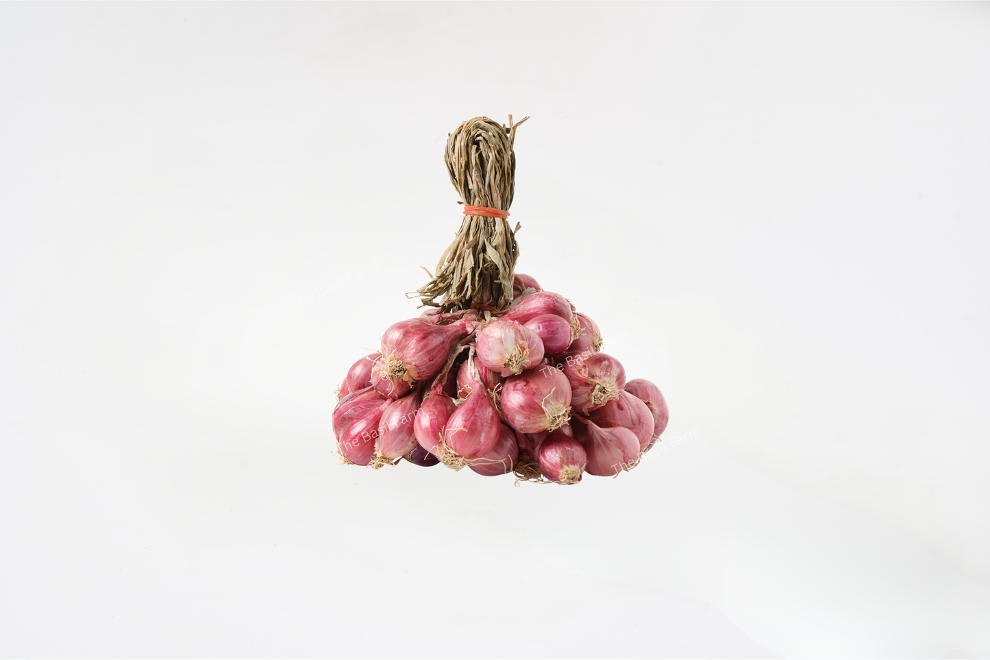 Thai Shallots