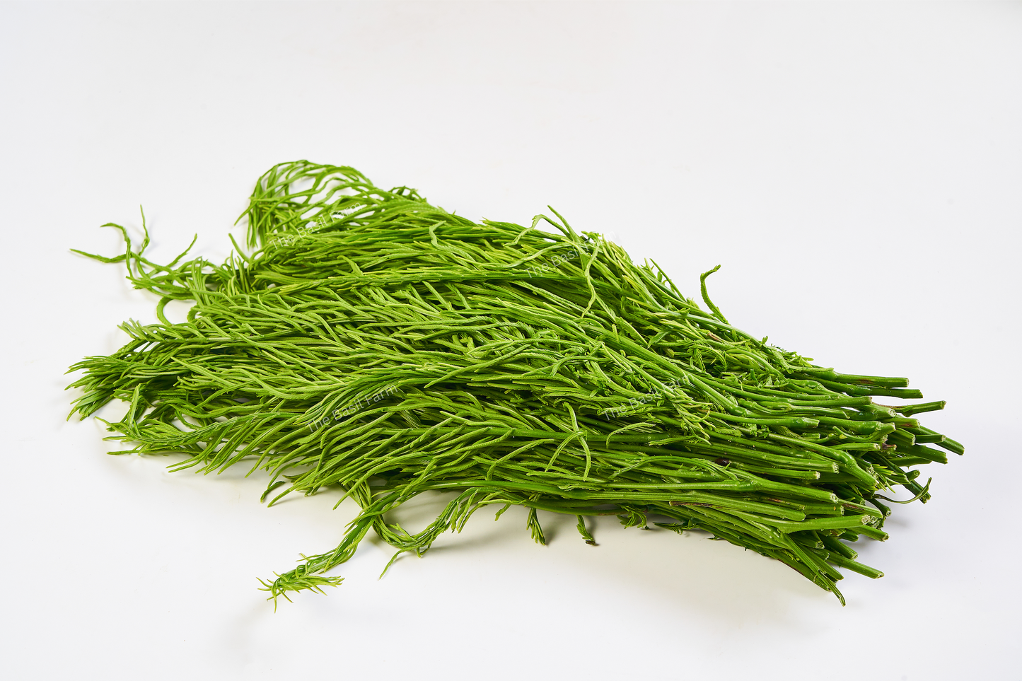 Cha-om (Acacia leaves)