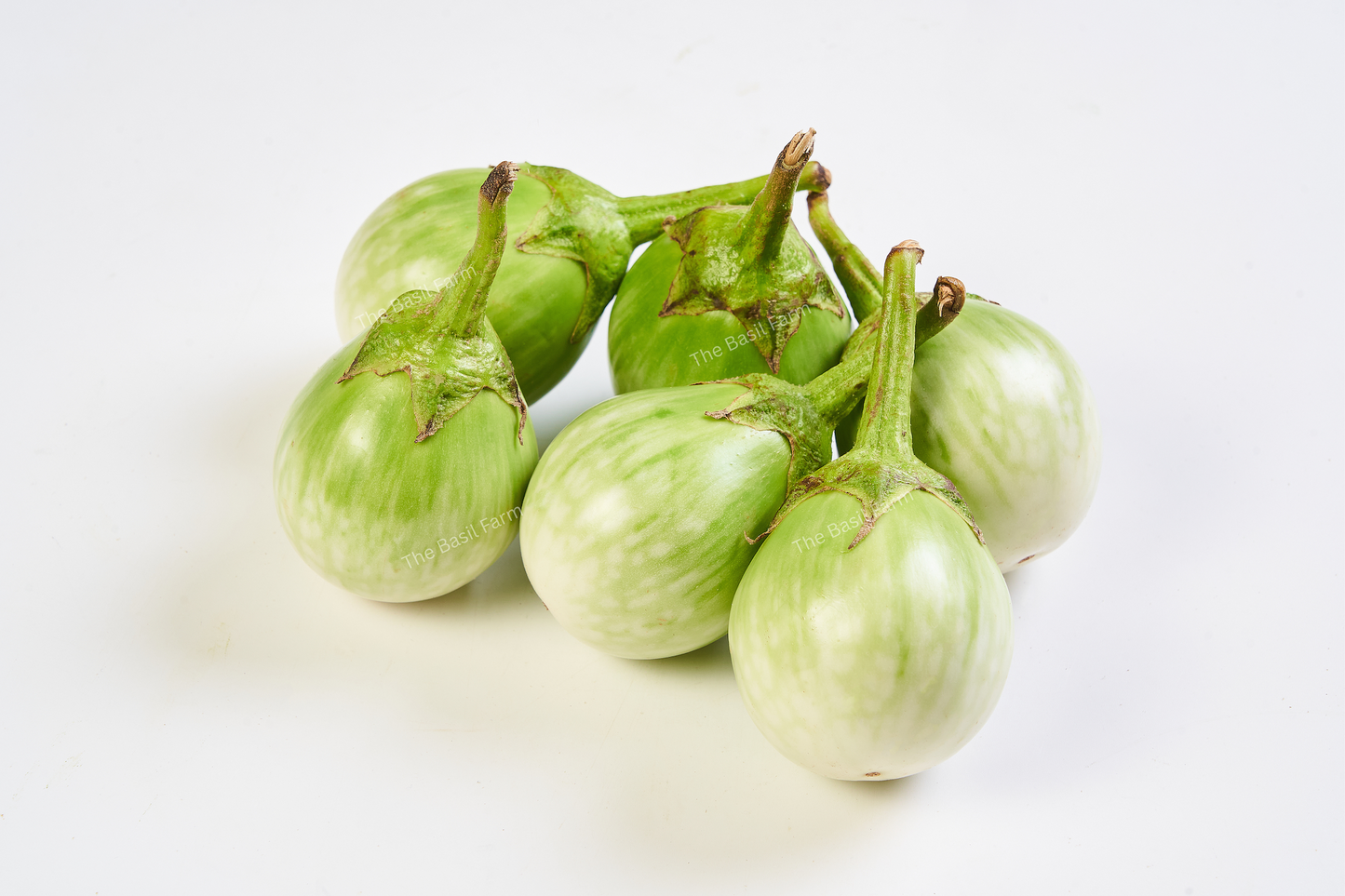 Chao Phraya Eggplant