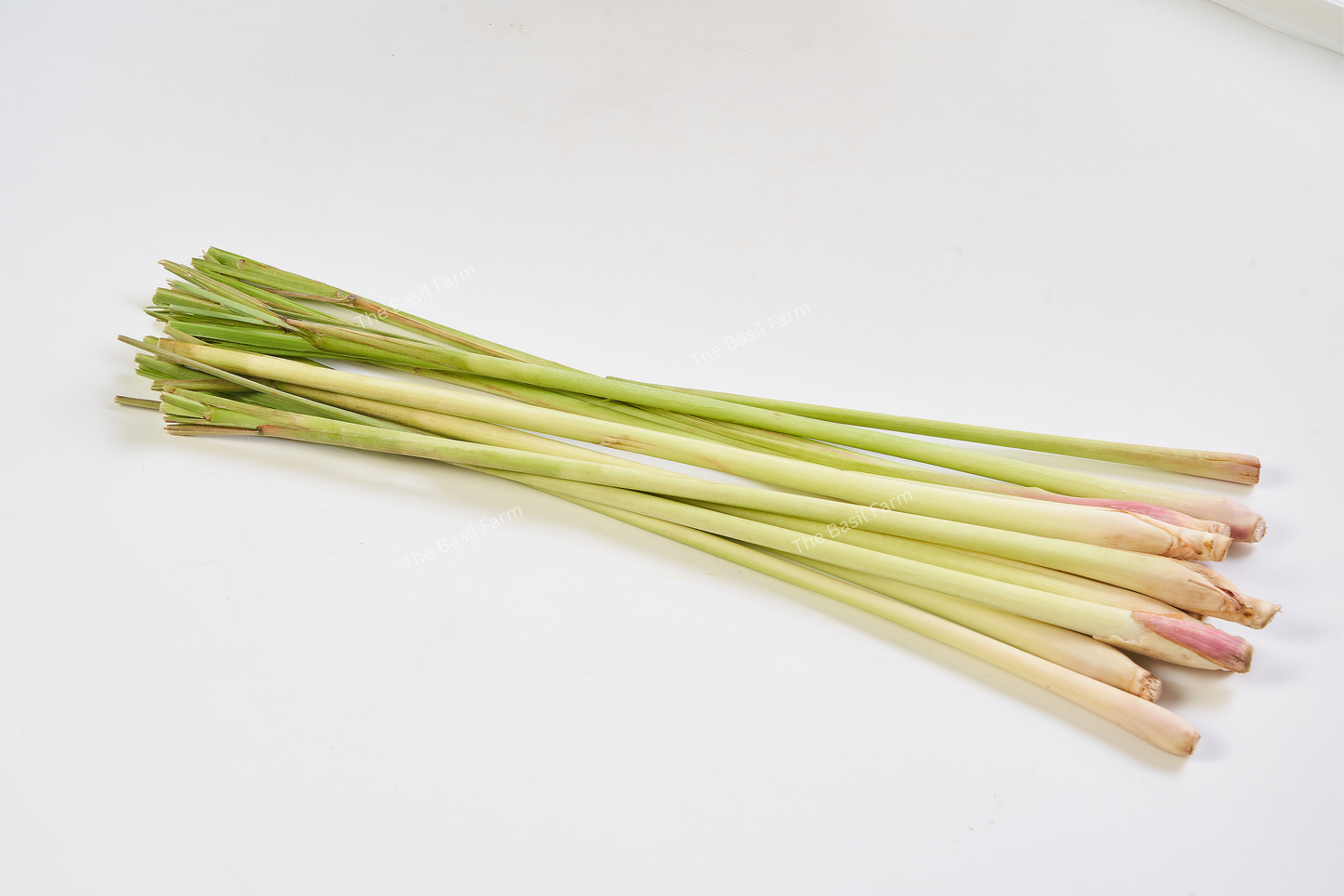 Lemongrass