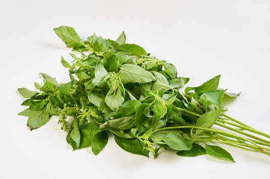 Lemon Basil