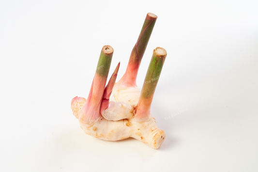 Galangal - Thai