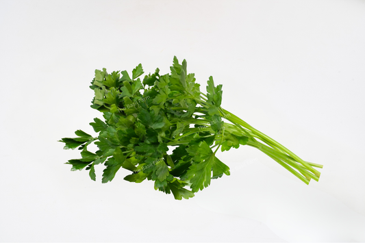 Flat-leaf Parsley