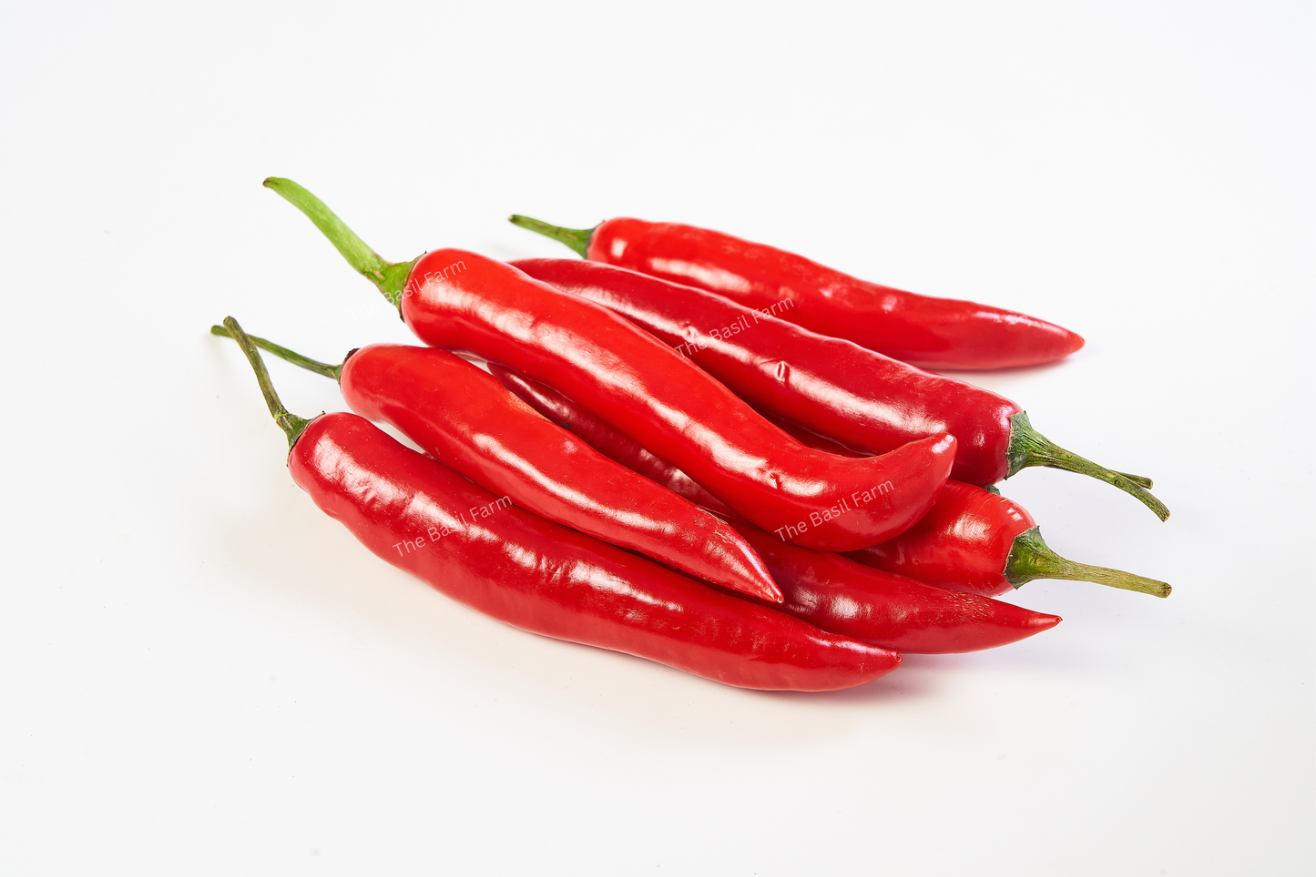 Long Red Chili