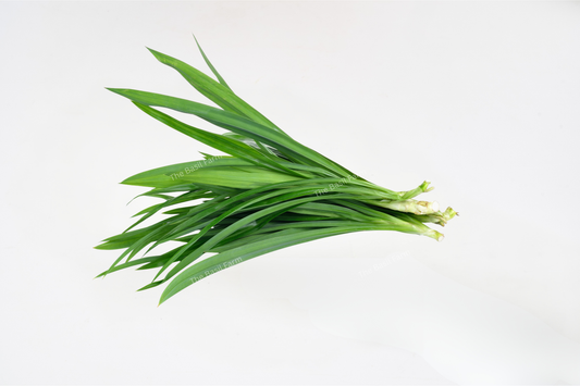 Pandan - Fresh