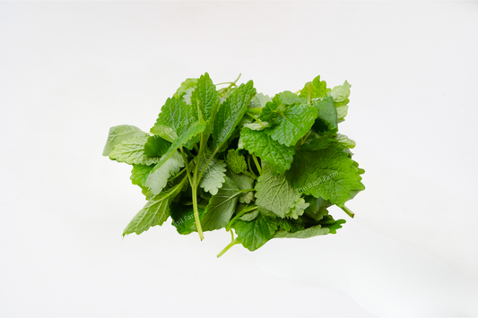 Lemon Balm