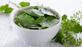 Basil leaves on wood